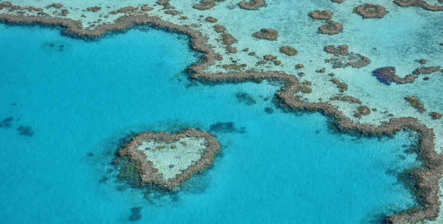 Reef and Whitehaven Landing Heli Tour 16 Reef and Whitehaven Landing Heli Tour - Image 16