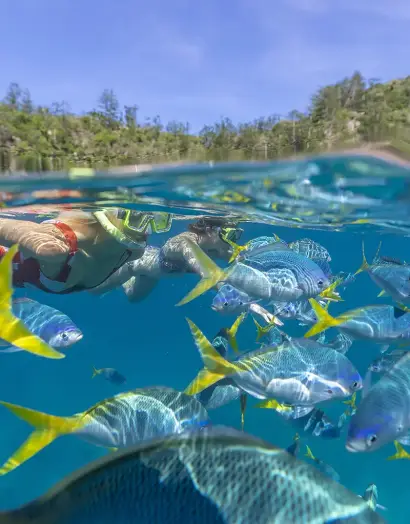 Lady Enid Whitehaven Beach Day Sail 15 Lady Enid Whitehaven Beach Day Sail - Image 15