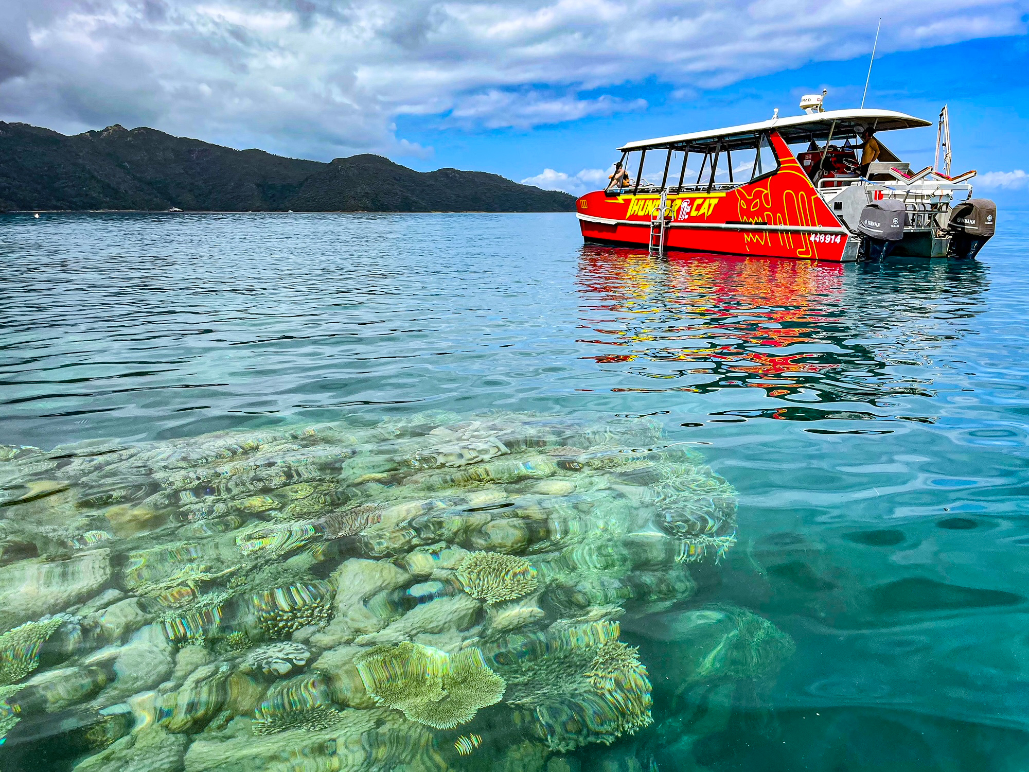 Thundercat Whitsundays 27 Thundercat Whitsundays - Image 27