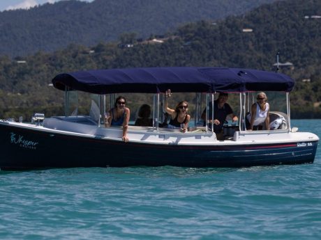 Whisper Cruises Turtle Spotting Cruise