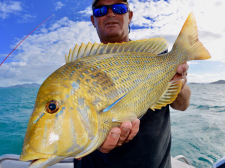 Airlie Beach Fishing Charters