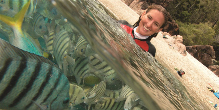 Cruise Whitsundays Camira 21 Cruise Whitsundays Camira - Image 21