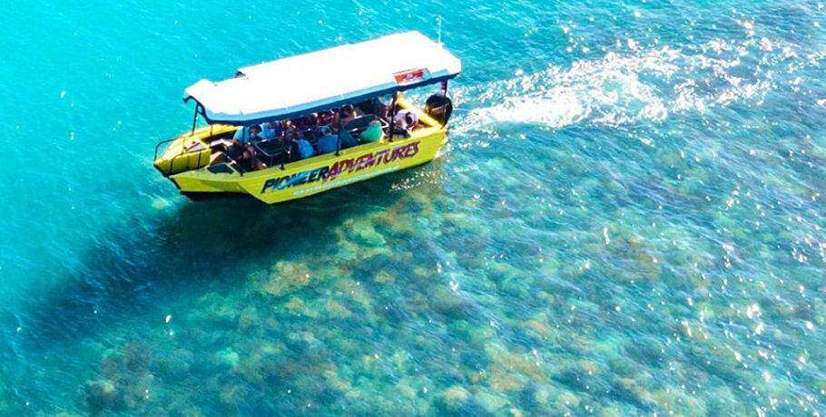 Glass Bottom Boat Tour 3 Glass Bottom Boat Tour - Image 3