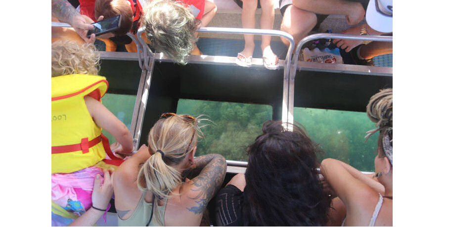 Glass Bottom Boat Tour 4 Glass Bottom Boat Tour - Image 4