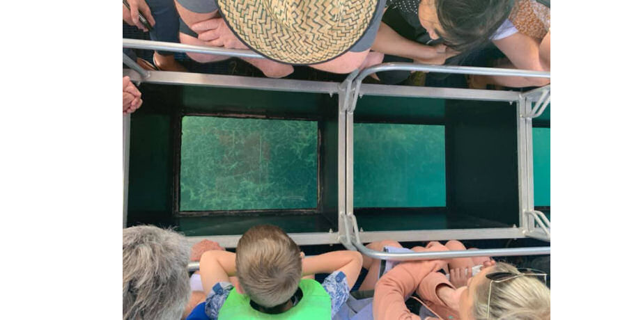 Glass Bottom Boat Tour 5 Glass Bottom Boat Tour - Image 5