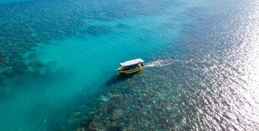 Glass Bottom Boat Tour 7 Glass Bottom Boat Tour - Image 7
