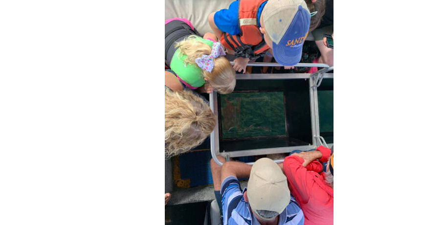 Glass Bottom Boat Tour 9 Glass Bottom Boat Tour - Image 9