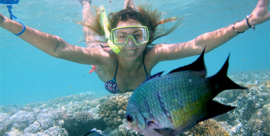 Cruise Whitsundays Great Barrier Reef Adventures 10 Cruise Whitsundays Great Barrier Reef Adventures - Image 10