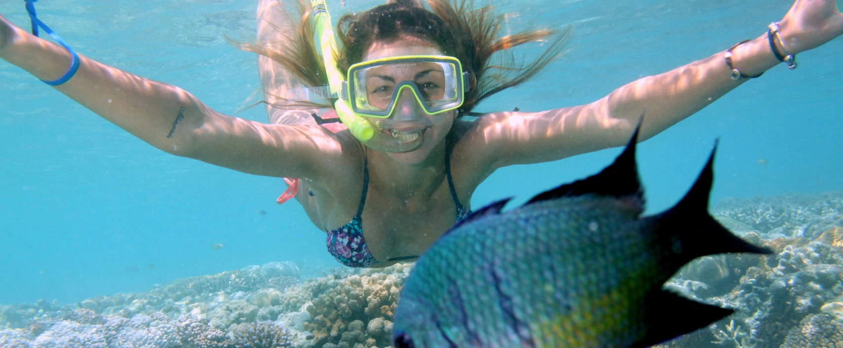 great_barrier_reef_blog