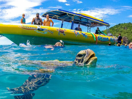 Ocean Rafting Northern Exposure Day Tour