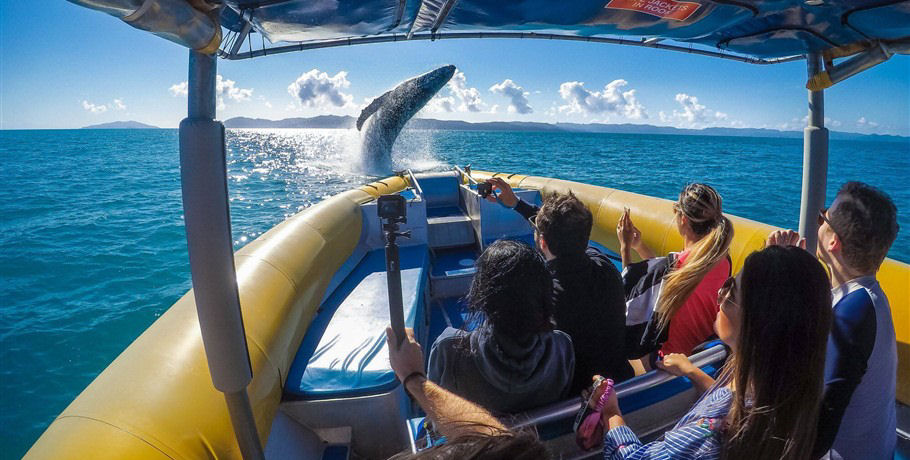 Ocean Rafting Southern Lights Day Tour 31 Ocean Rafting Southern Lights Day Tour - Image 31