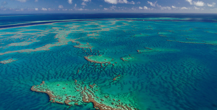 GSL Whitsundays Reef & Island Scenic Flight 5 GSL Whitsundays Reef & Island Scenic Flight - Image 5
