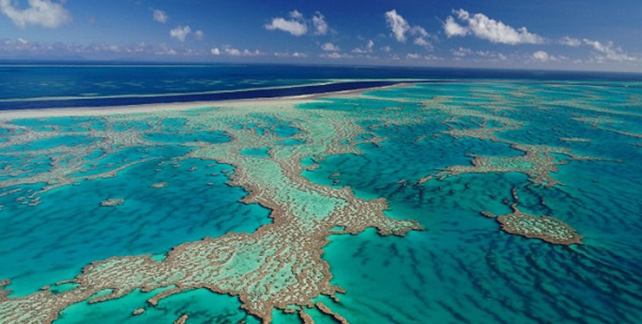 GSL Whitsundays Reef & Island Scenic Flight 6 GSL Whitsundays Reef & Island Scenic Flight - Image 6