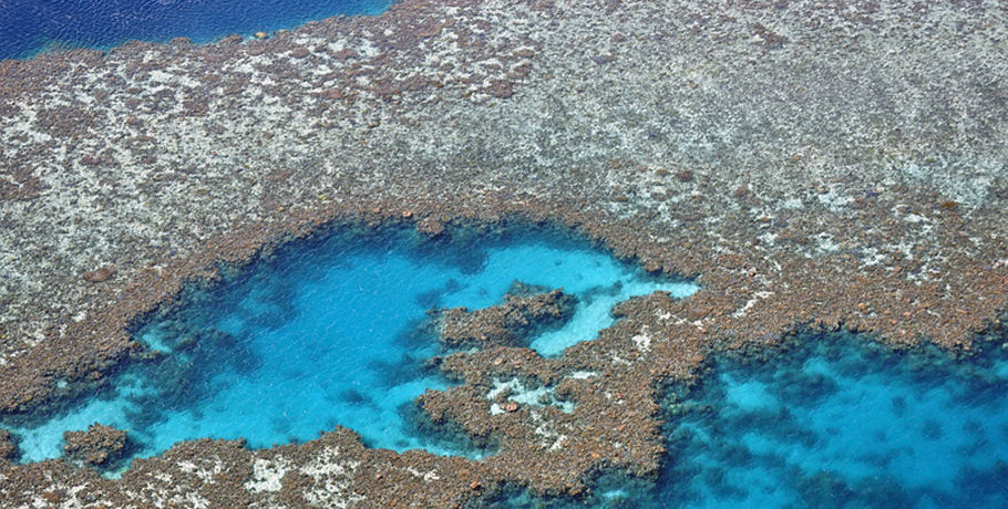 GSL Whitsundays Reef & Island Scenic Flight 4 GSL Whitsundays Reef & Island Scenic Flight - Image 4