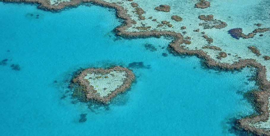 GSL Whitsundays Reef & Island Scenic Flight 10 GSL Whitsundays Reef & Island Scenic Flight - Image 10