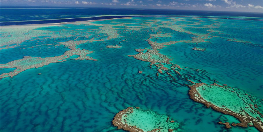 Reef and Whitehaven Landing Heli Tour 6 Reef and Whitehaven Landing Heli Tour - Image 6