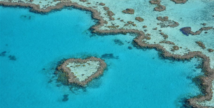 Reef and Whitehaven Landing Heli Tour 8 Reef and Whitehaven Landing Heli Tour - Image 8