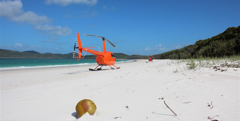 Reef and Whitehaven Landing Heli Tour 9 Reef and Whitehaven Landing Heli Tour - Image 9