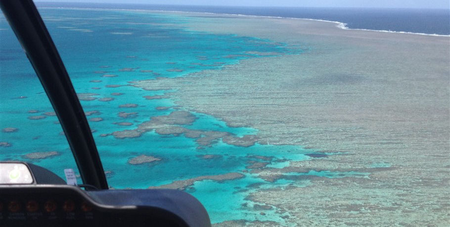 Reef and Whitehaven Landing Heli Tour 10 Reef and Whitehaven Landing Heli Tour - Image 10