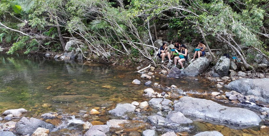 Whitsunday Segway Rainforest Discovery Tour 9 Whitsunday Segway Rainforest Discovery Tour - Image 9