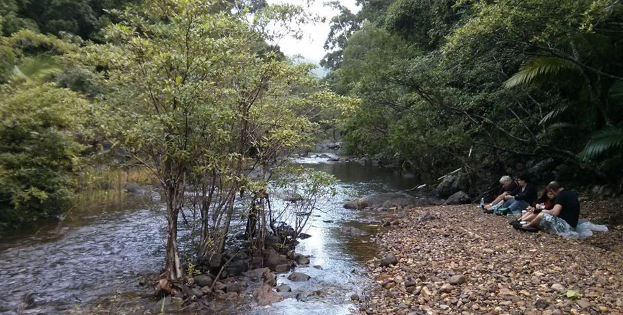 Whitsunday Segway Rainforest Discovery Tour 3 Whitsunday Segway Rainforest Discovery Tour - Image 3