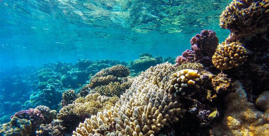 Thundercat Whitsundays 3 Thundercat Whitsundays - Image 3