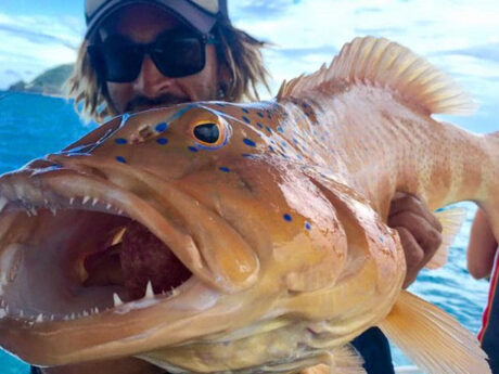 Whitsunday Fishing Charters