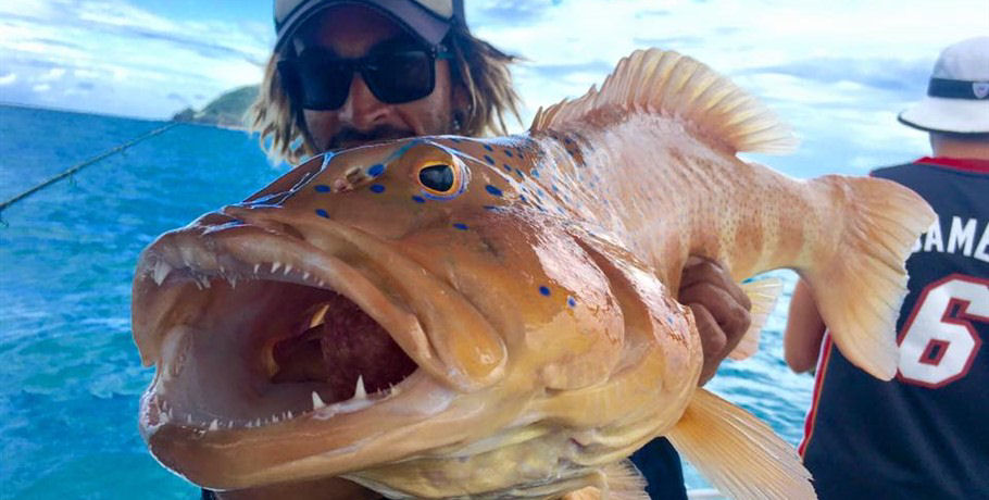 Whitsunday Fishing Charters 1 Whitsunday Fishing Charters