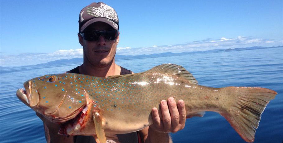 Whitsunday Fishing Charters 4 Whitsunday Fishing Charters - Image 4