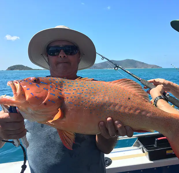 Whitsunday Fishing Charters 10 Whitsunday Fishing Charters - Image 10